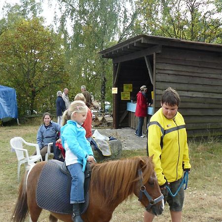 Holiday Home In Wietzendorf In The L Neburg Heath With A View Of The Countryside Exteriör bild