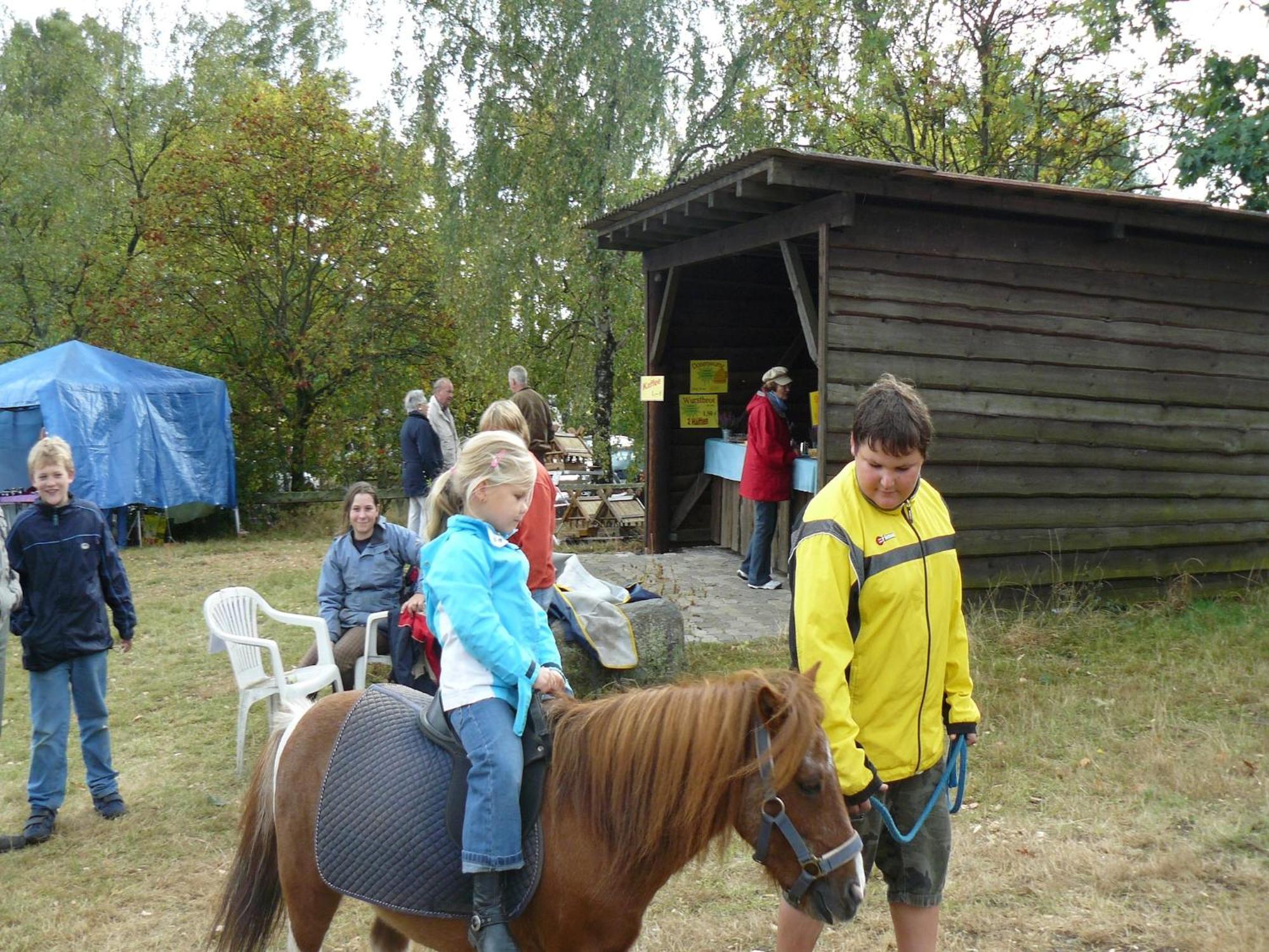 Holiday Home In Wietzendorf In The L Neburg Heath With A View Of The Countryside Exteriör bild