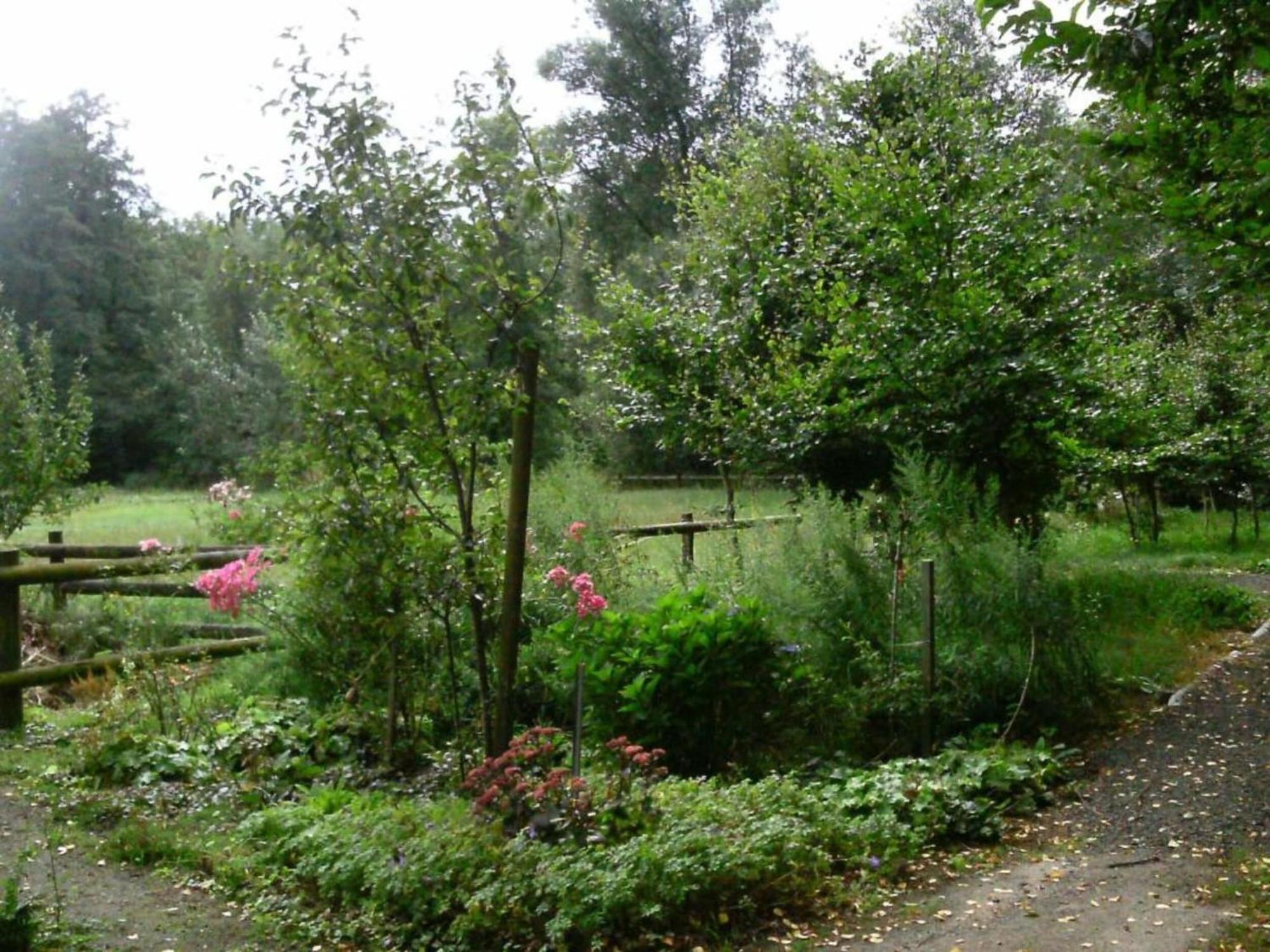 Holiday Home In Wietzendorf In The L Neburg Heath With A View Of The Countryside Exteriör bild