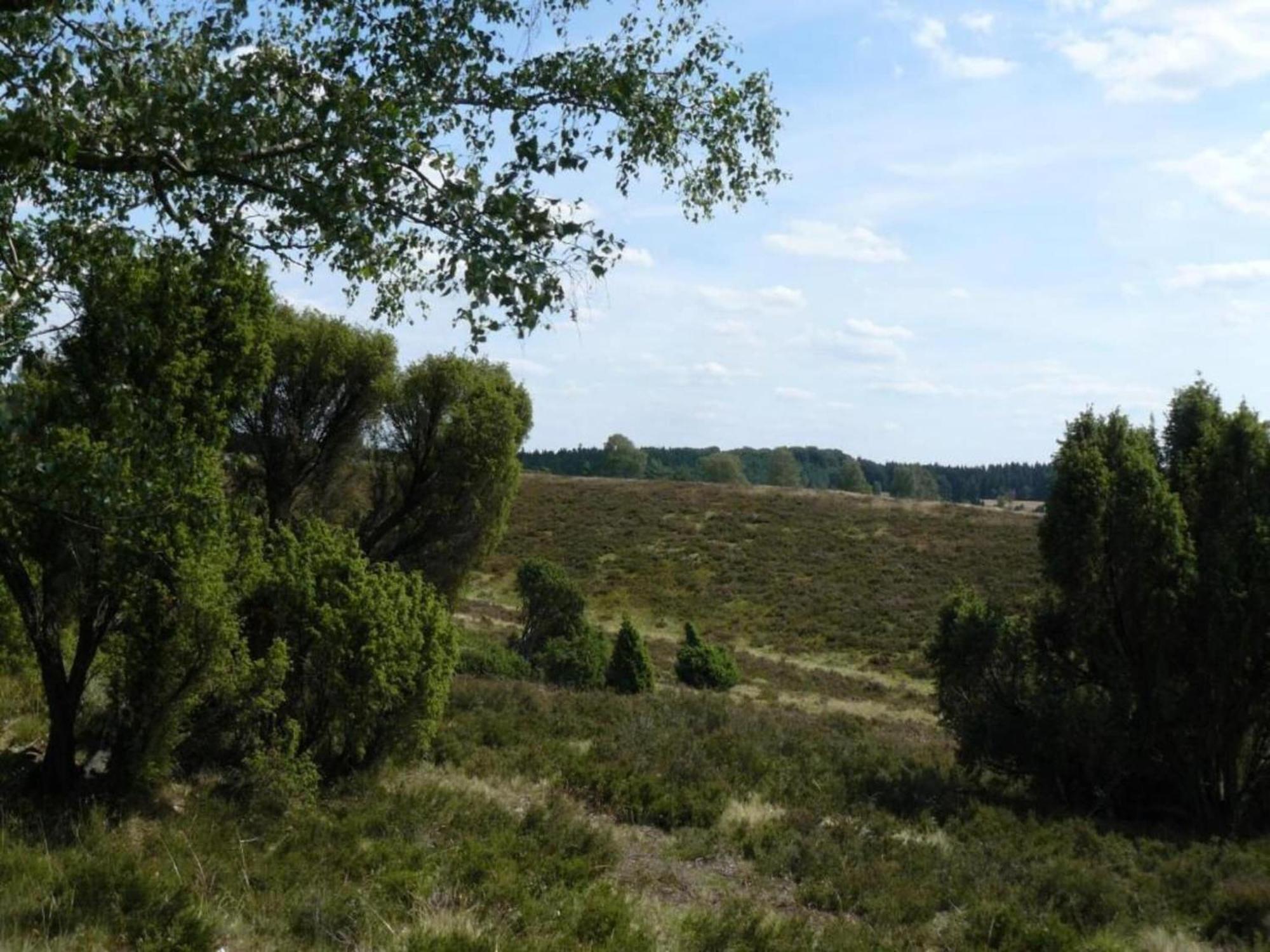 Holiday Home In Wietzendorf In The L Neburg Heath With A View Of The Countryside Exteriör bild